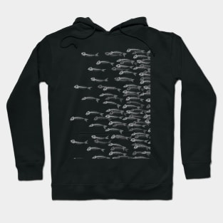 Anatomy Of A Fish - the whole school Hoodie